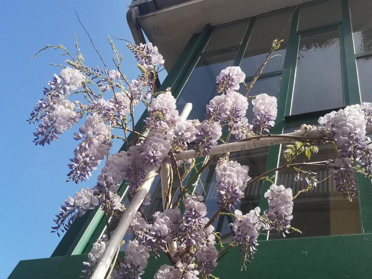 דירות Guidonia Casadei24 מראה חיצוני תמונה
